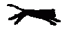 cat1.gif