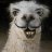 Le_Lama_d'Oz